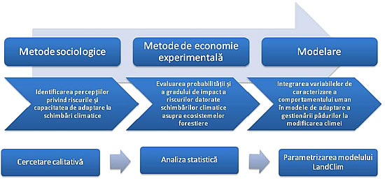 stroma management