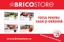 Bricostore - Totul pentru casa si gradina