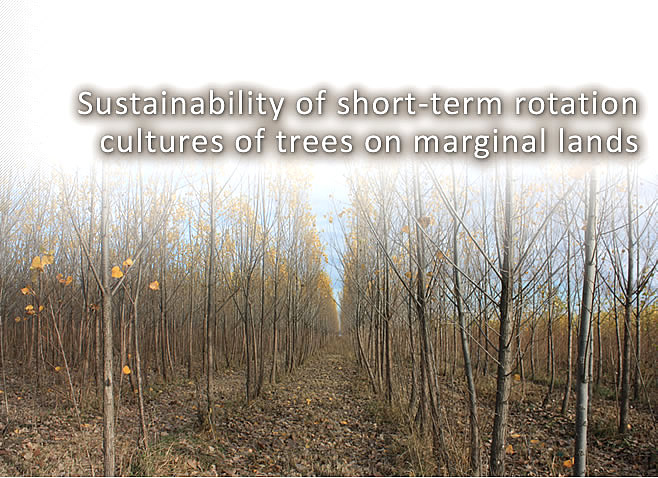STROMA - Sustenabilitatea culturilor cu specii forestiere cu ciclu scurt de productie pe terenuri din afara fondului forestier