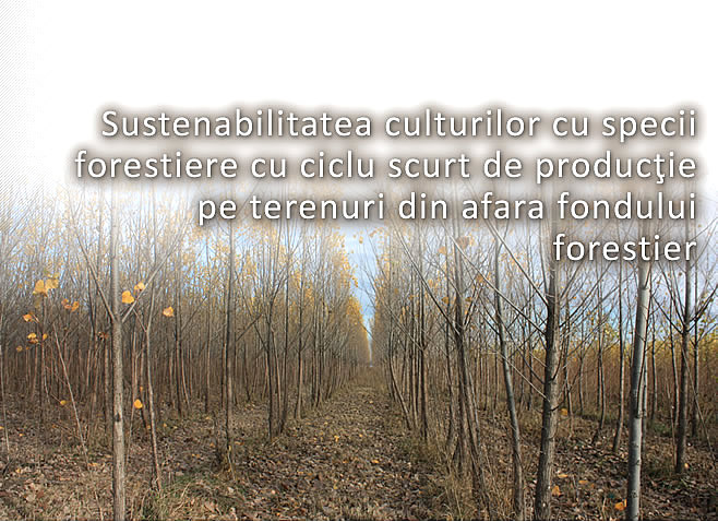 STROMA - Sustenabilitatea culturilor cu specii forestiere cu ciclu scurt de productie pe terenuri din afara fondului forestier